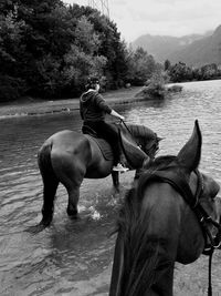 Horse in the sea