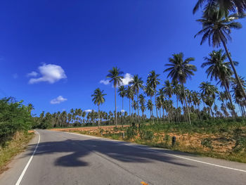 Road by trees against blue sky