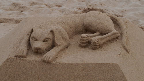 Close-up of sand at beach