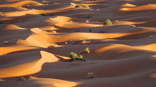 High angle view of sand dune in desert