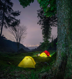 Tents on grassy field against sky at night