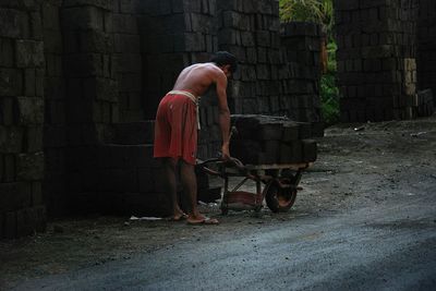 Full length of sheep in pen