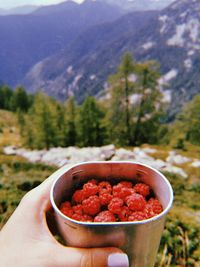 Midsection of person holding strawberry against tree mountains