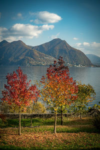 View of trees in lake against cloudy sky