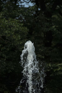 Close-up of frozen water on land