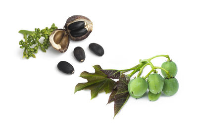 High angle view of vegetables on white background