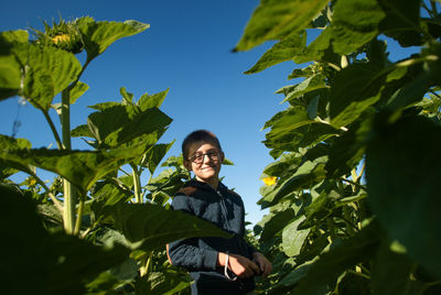 Portrait of smiling boy standing amidst plants against clear blue sky