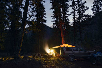 Illuminated campsite in forest during night