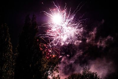 Low angle view of firework display at night