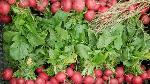 Full frame shot of tomatoes