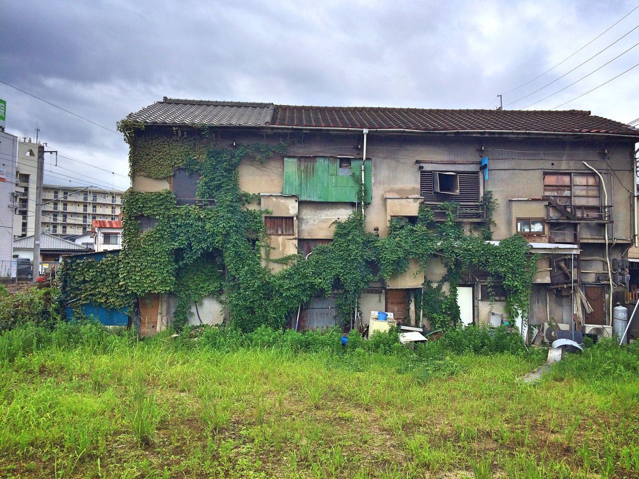 building exterior, architecture, built structure, sky, grass, cloud - sky, house, plant, cloud, green color, window, cloudy, residential structure, growth, residential building, day, field, no people, outdoors, grassy