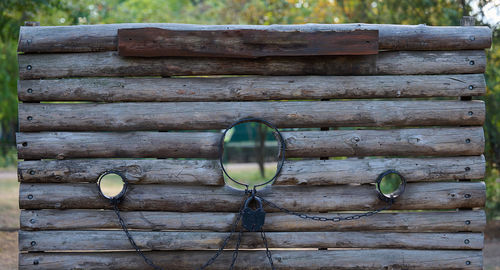 wood
