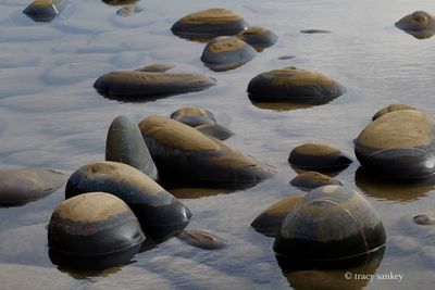 Close-up of pebbles at beach