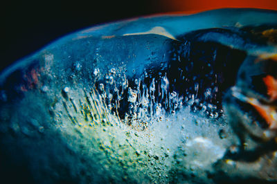 Close-up of frozen sea