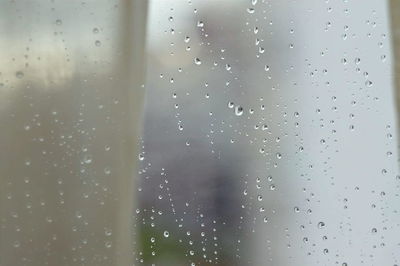 Close-up of water drops on leaf