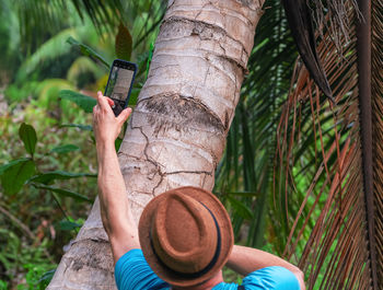 Cropped hand of woman holding plant