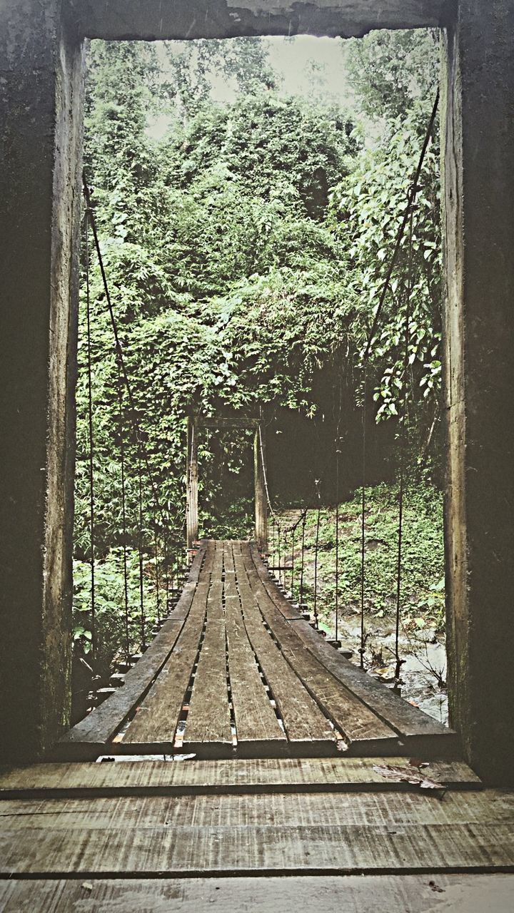 tree, rail transportation, railroad track, track, plant, direction, the way forward, day, nature, no people, transportation, diminishing perspective, connection, outdoors, forest, vanishing point, growth, architecture, metal, land, long