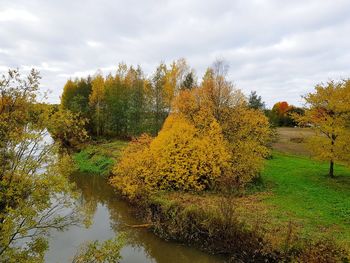 View of autumnal trees against sky