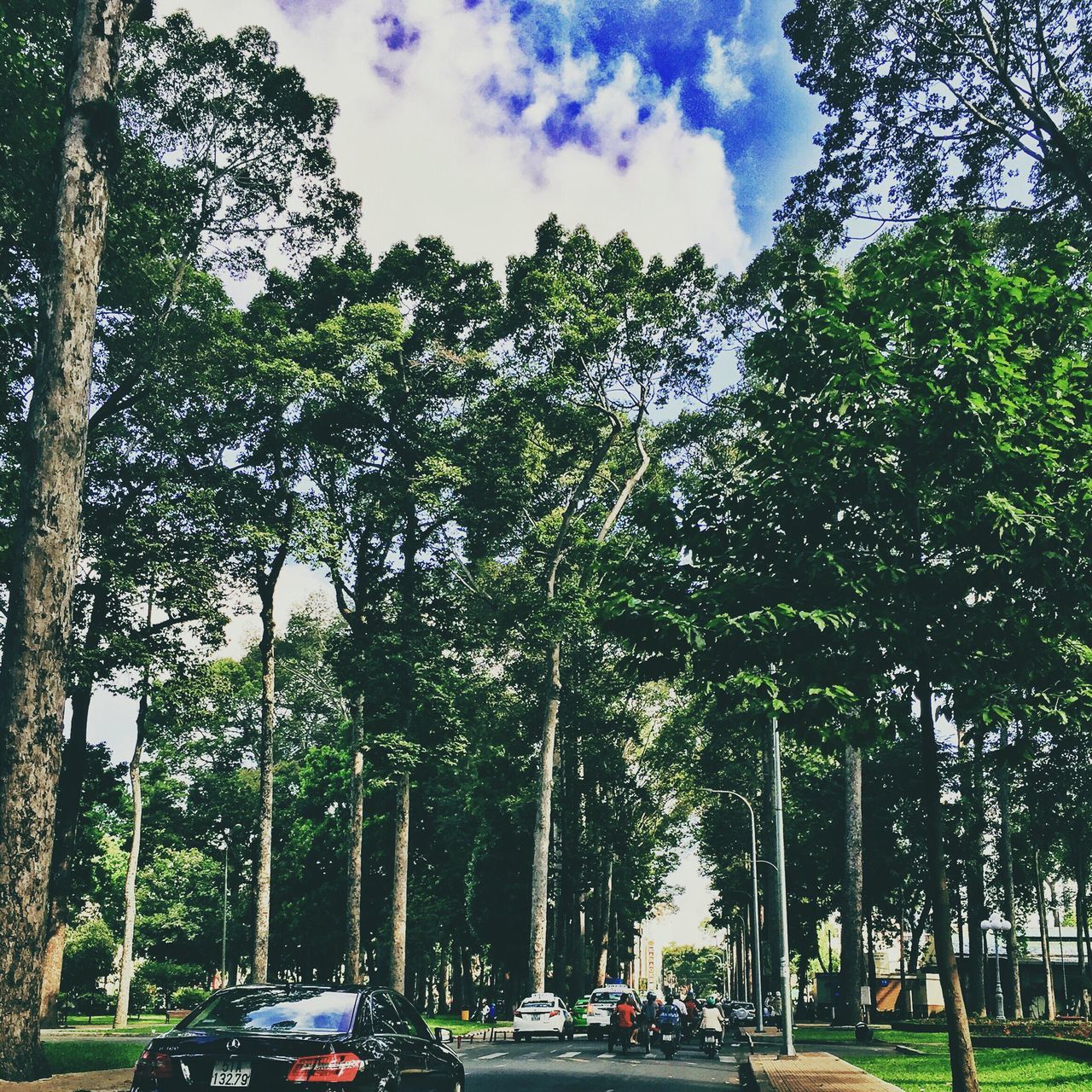 tree, transportation, land vehicle, car, mode of transport, sky, road, street, growth, parking, the way forward, stationary, cloud - sky, parked, street light, nature, outdoors, incidental people, day, green color