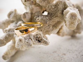 Close-up of wedding rings on rock