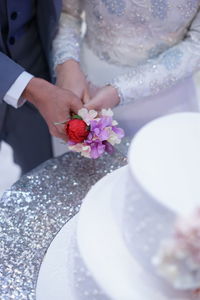 Midsection of woman holding red flower in pot