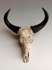 Close-up of animal skull against white background