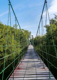 Narrow footbridge along plants and trees
