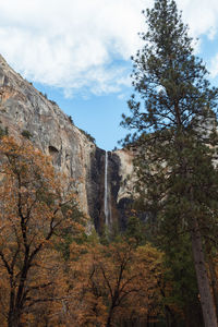 Low angle view of trees and rocks against sky