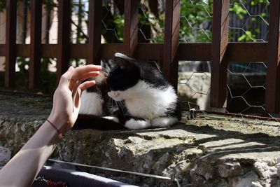 Man sitting on cat