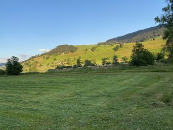 Scenic view of landscape against clear sky