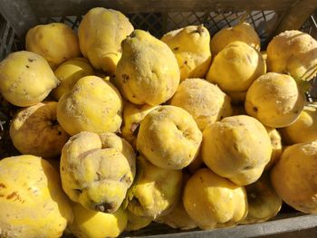 High angle view of fruits for sale at market stall