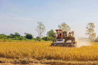 Farmers drive a harvester car during the rice harvesting season on a farm in ratchaburi, thailand.