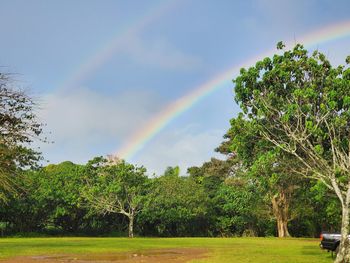 Scenic view of rainbow over trees on field against sky