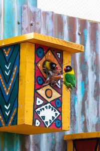 High angle view of a bird on wood