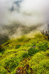 Mountain with green grass and amazing sky image is showing the amazing beauty