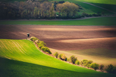 Scenic view of golf course