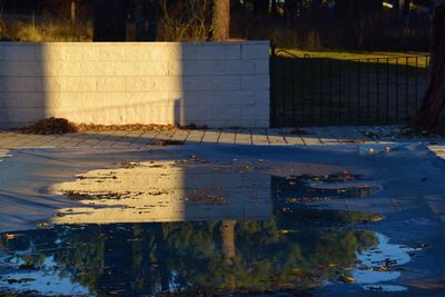 Reflection of trees in puddle on lake