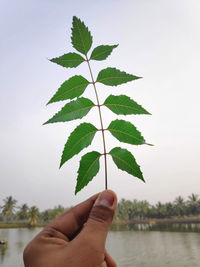 Midsection of person holding plant against sky