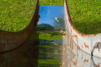 Reflection of trees on field