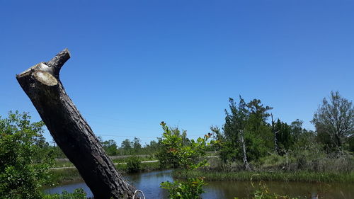 Scenic view of lake against clear blue sky