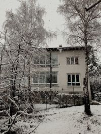 Bare trees on snow covered field by building