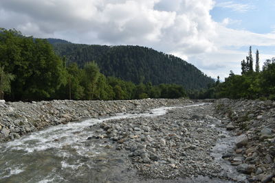 Scenic view of river amidst trees against sky