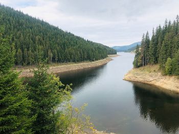 Scenic view of river amidst trees against sky