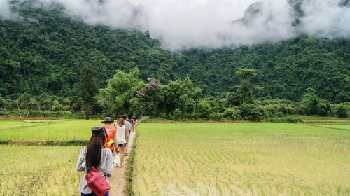 People working on agricultural field against sky