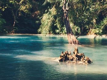 Group of people in the sea