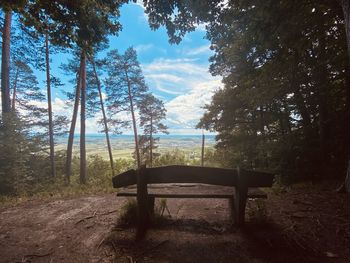 Empty bench in forest against sky