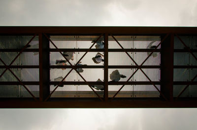 View of man against sky