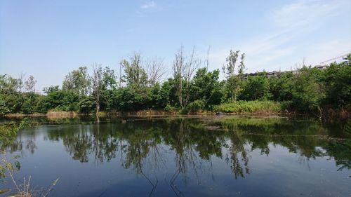 Scenic view of lake against clear blue sky