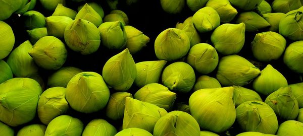 Full frame shot of green for sale in market