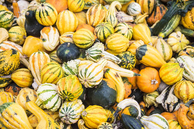 Full frame shot of pumpkins in market